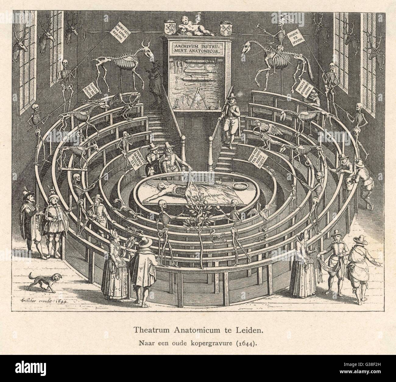 ANATOMY THEATRE, LEIDEN Banque D'Images