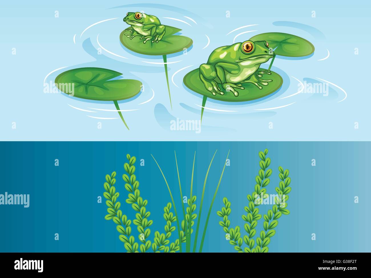 Grenouilles sur nénuphar et illustration scène sous-marine Illustration de Vecteur