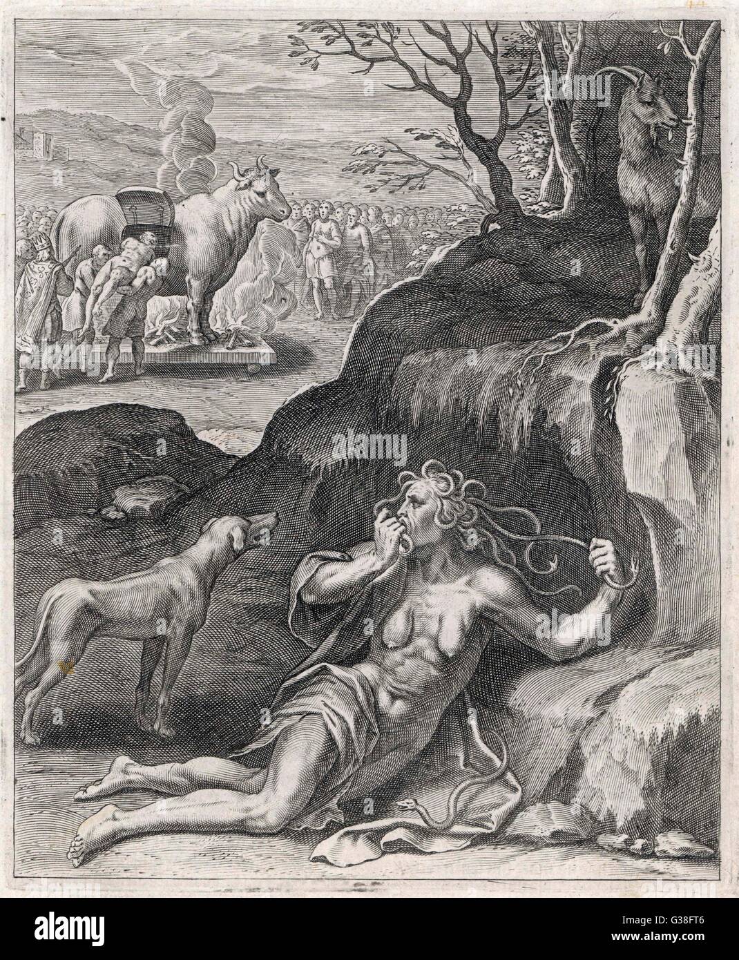 Cassandra et le cheval Banque D'Images