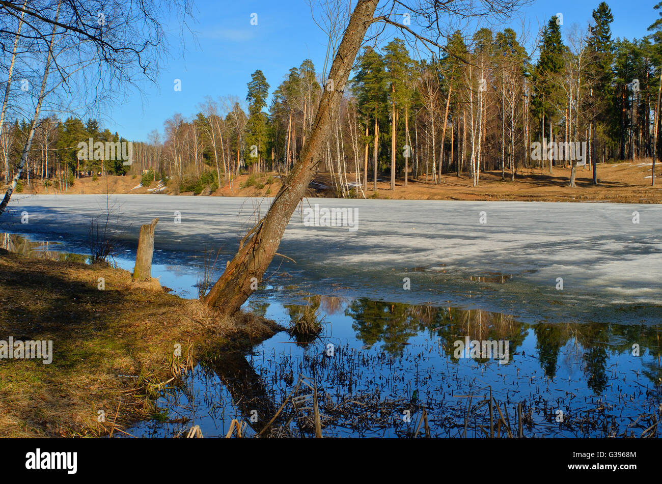 Au début du printemps en Russie centrale au cours du mois de mars Banque D'Images
