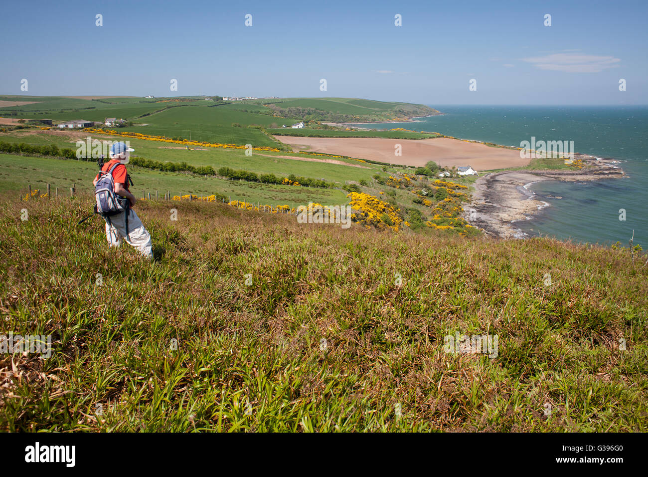 Scenic Rhinns of Galloway, paysage côte est au bord du Loch Ryan, walker sur Portbeg et jusqu'à l'égard Milleur Point, Banque D'Images