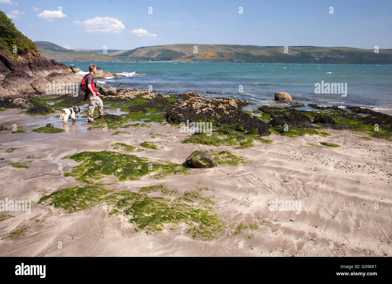 Walker et de chien à Lady Bay, Rhinns of Galloway, à la recherche sur le Loch Ryan sur un brillant et breezy day en bleu soleil d'été Banque D'Images