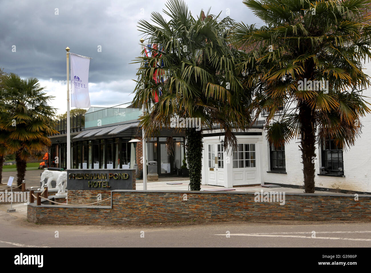 Surrey England Pal Arbres hors Frensham Pond Hotel Banque D'Images