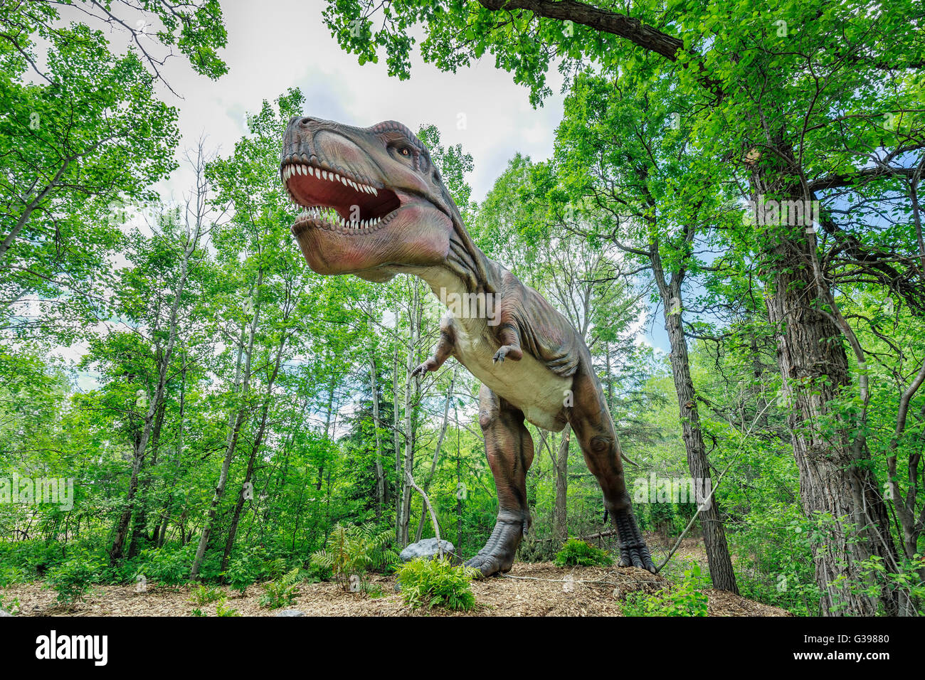 Dinosaure Dinosaures... vivants, Zoo du Parc Assiniboine, Winnipeg, Manitoba, Canada. Banque D'Images