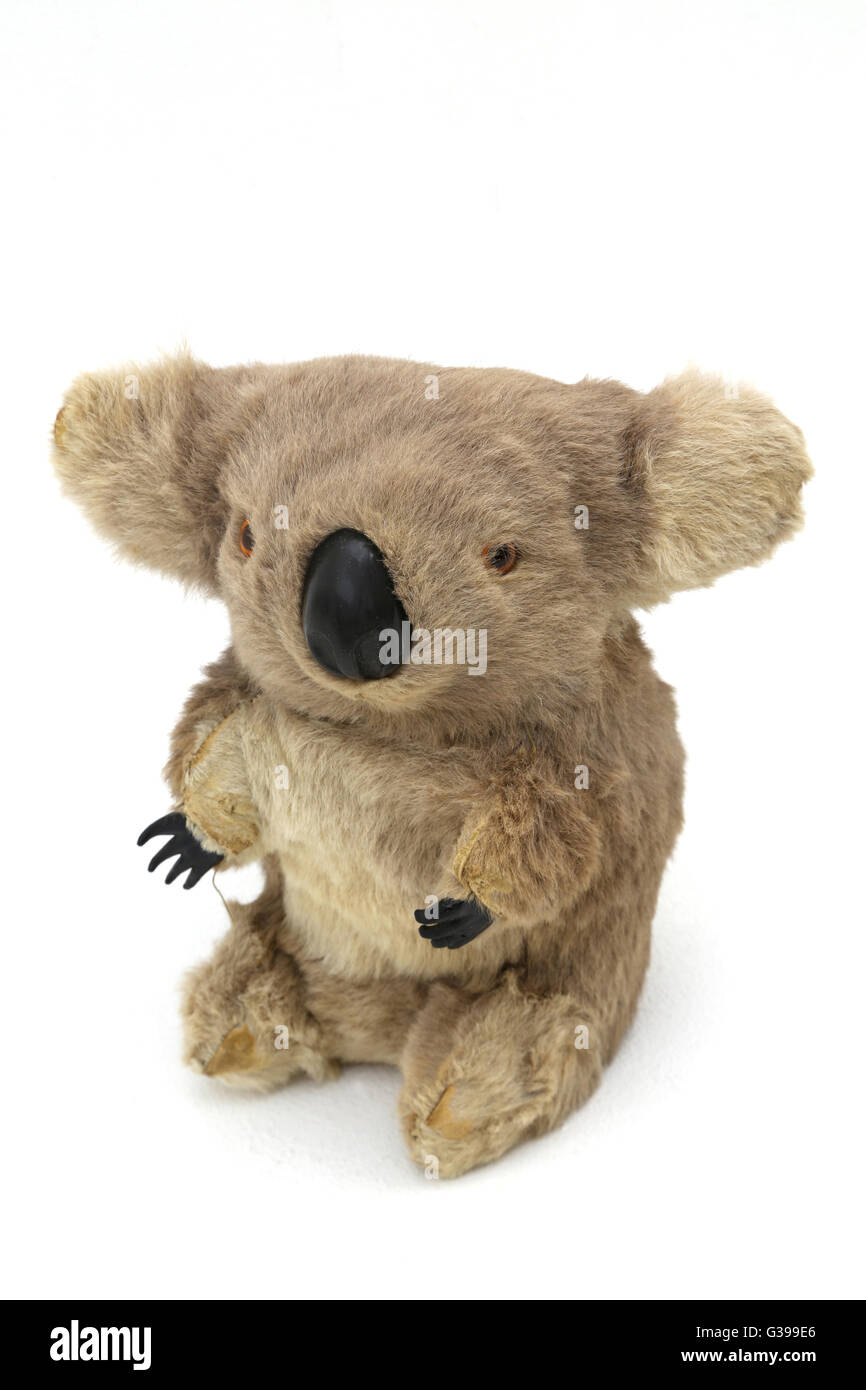 1960 koala fabriqués à partir de fourrure de kangourou Banque D'Images