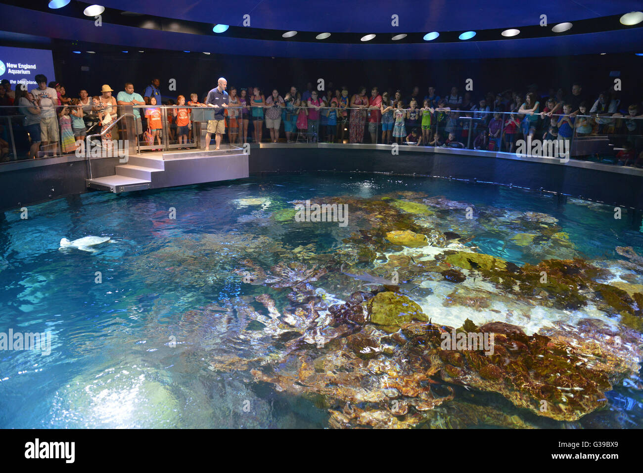 New England Aquarium, Quai Central, Boston, Massachusetts, USA Banque D'Images