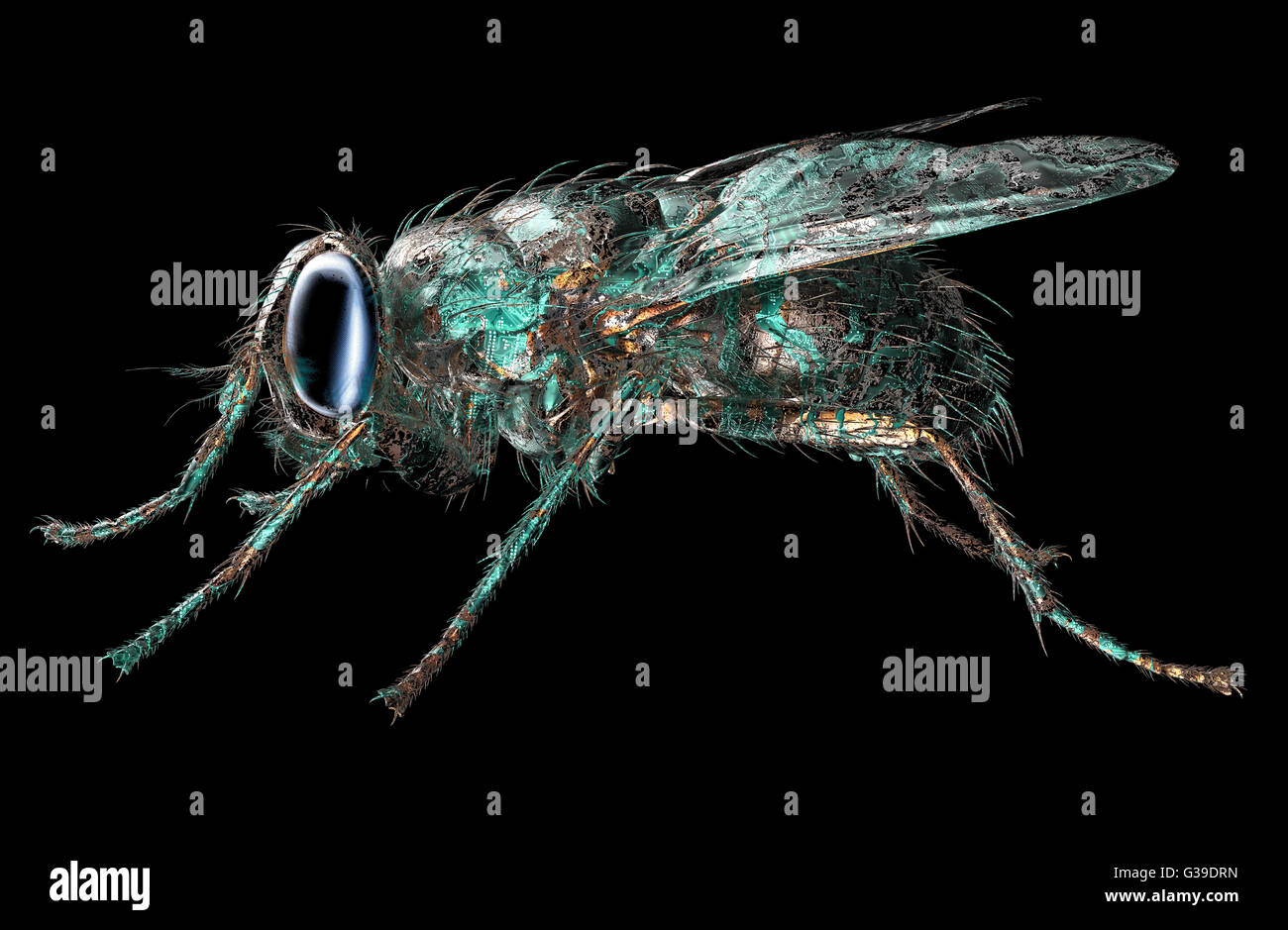 Concept de sécurité numérique bug informatique électronique isolé, 3D illustration Banque D'Images