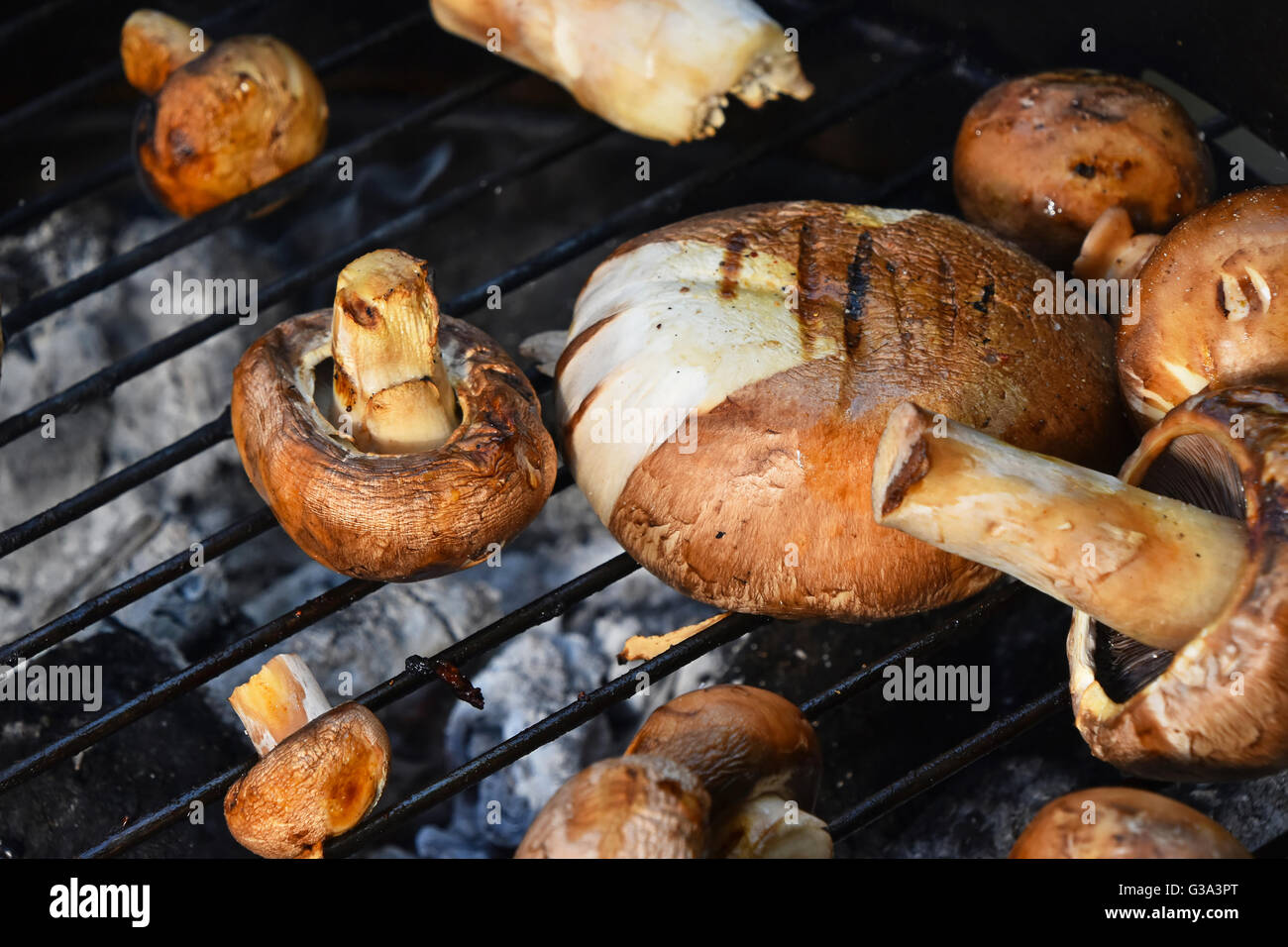 champignons portobellos par sur char grill avec grillemarks Photo Stock - Alamy