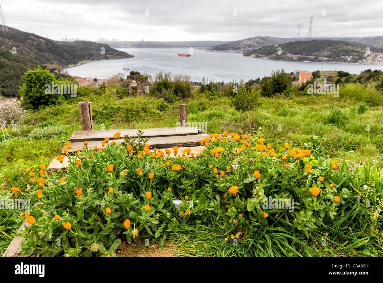 Vue sur le Bosphore à Istanbul à partir de la haute colline de l'Anadolu Kavagi fleurs orange avec un avant-plan Banque D'Images