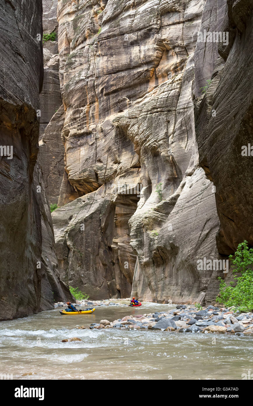 Zion Narrows pagayer dans Zion National Park, Utah. Banque D'Images