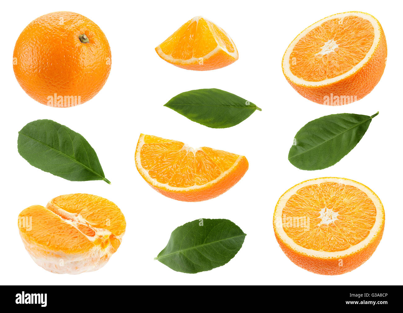 Agrumes Orange collection isolated on white Banque D'Images