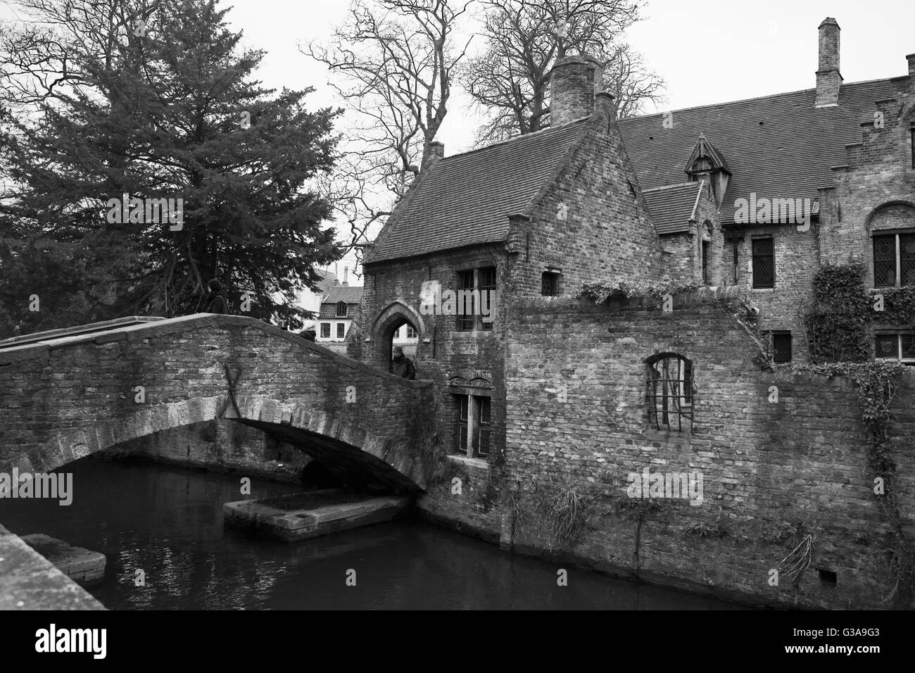 Bonifatiusbrug (Boniface) Pont sur le canal Bakkerei à l'angle de l'Hof Arents (Arents Park), Brugge, Belgique Banque D'Images