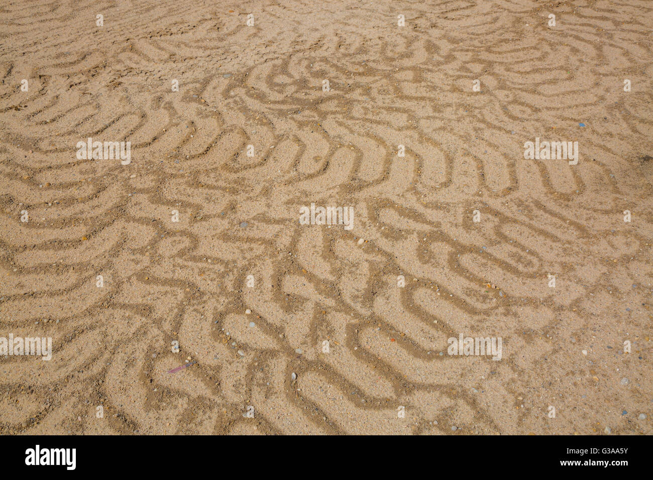 Les traces de pneus au hasard à partir de matériel de construction lourde dans le sable Banque D'Images