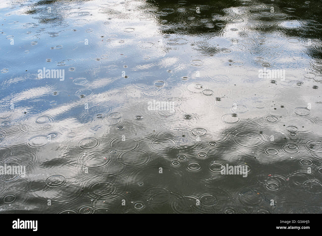 Gouttes de pluie sur un étang de jardin Banque D'Images