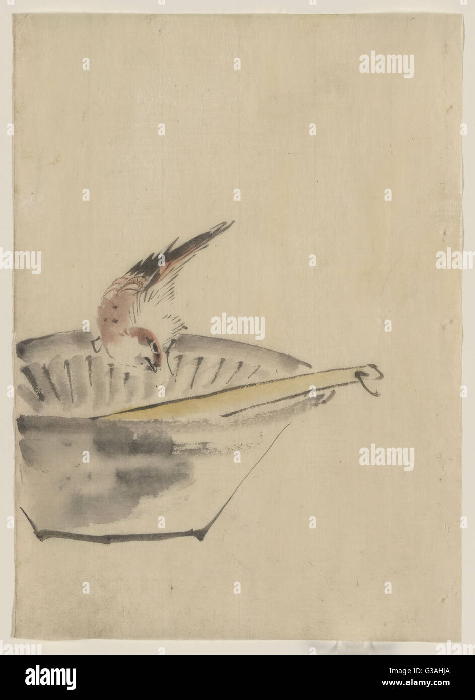 Un oiseau perché sur le bord d'un bol, avec la tête cokée, regardez Banque D'Images