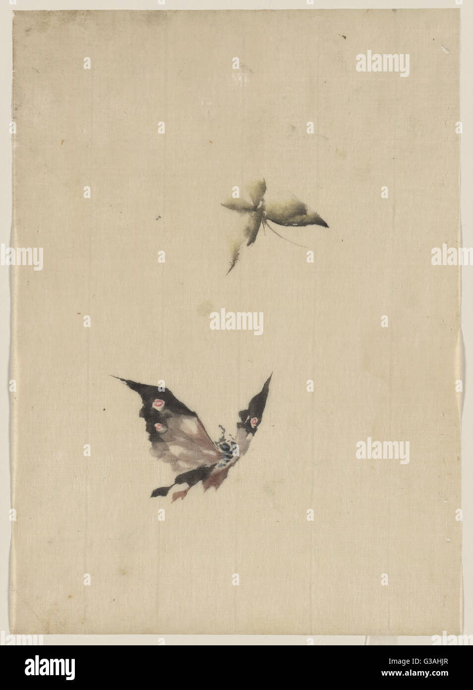 Butterfly et papillon Banque D'Images