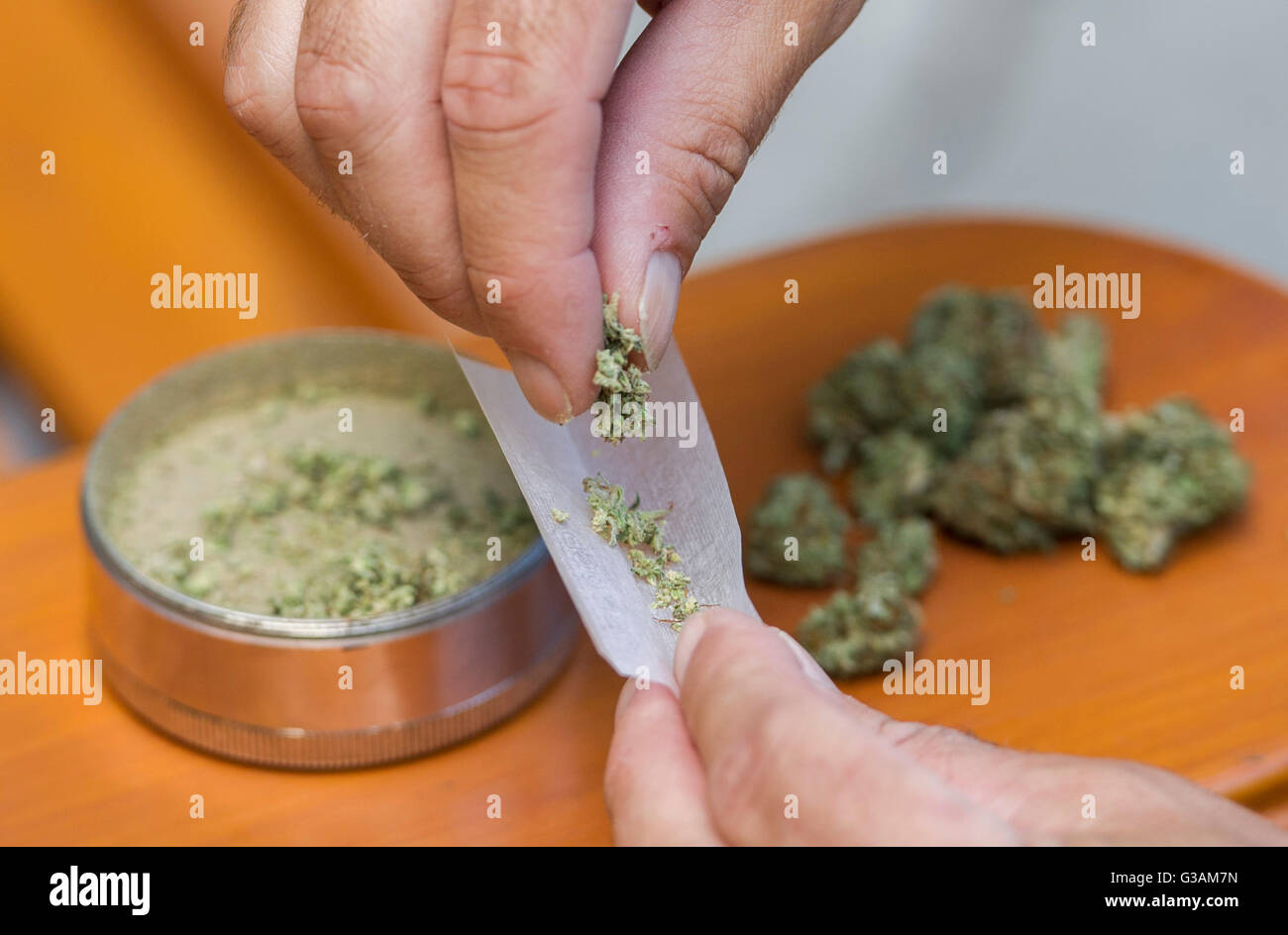 Un homme roule un joint de cannabis à Montréal, août 2014. photo Graham Hughes/Freelance Banque D'Images