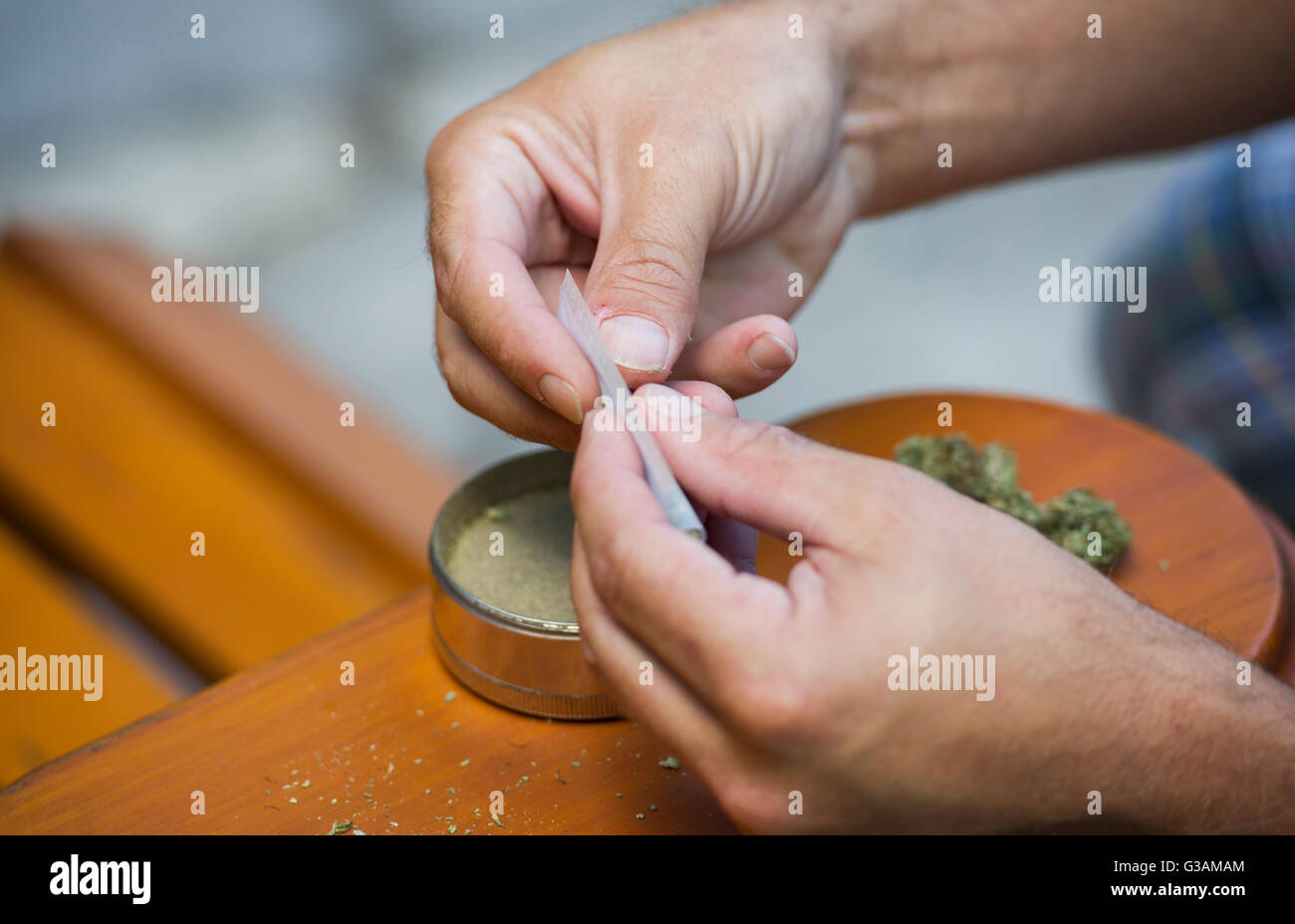 Un homme roule un joint de cannabis à Montréal, août 2014. photo Graham Hughes/Freelance Banque D'Images
