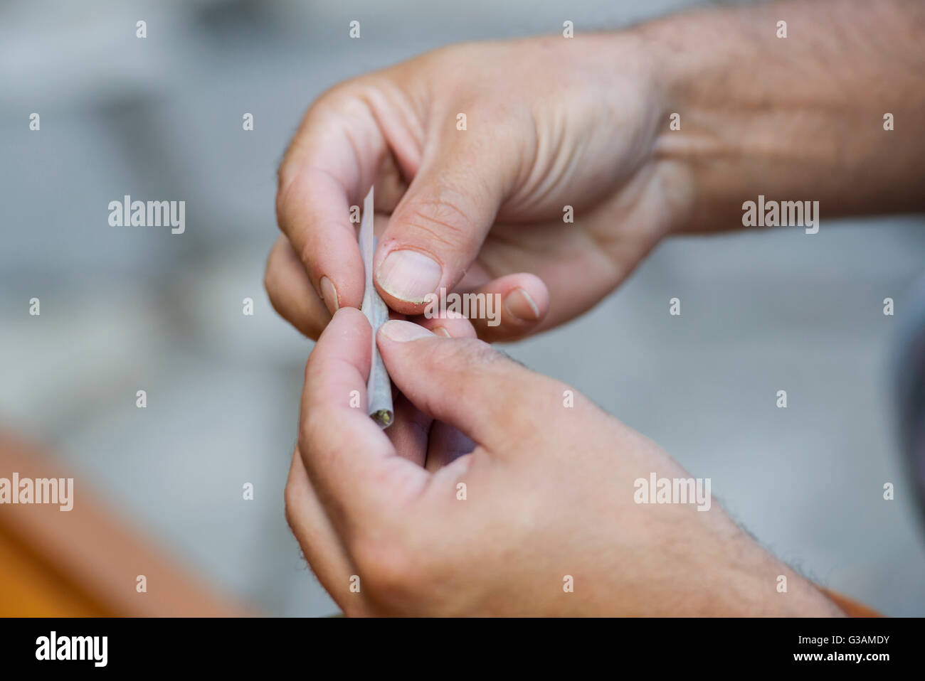 Un homme roule un joint de cannabis à Montréal, août 2014. photo Graham Hughes/Freelance Banque D'Images