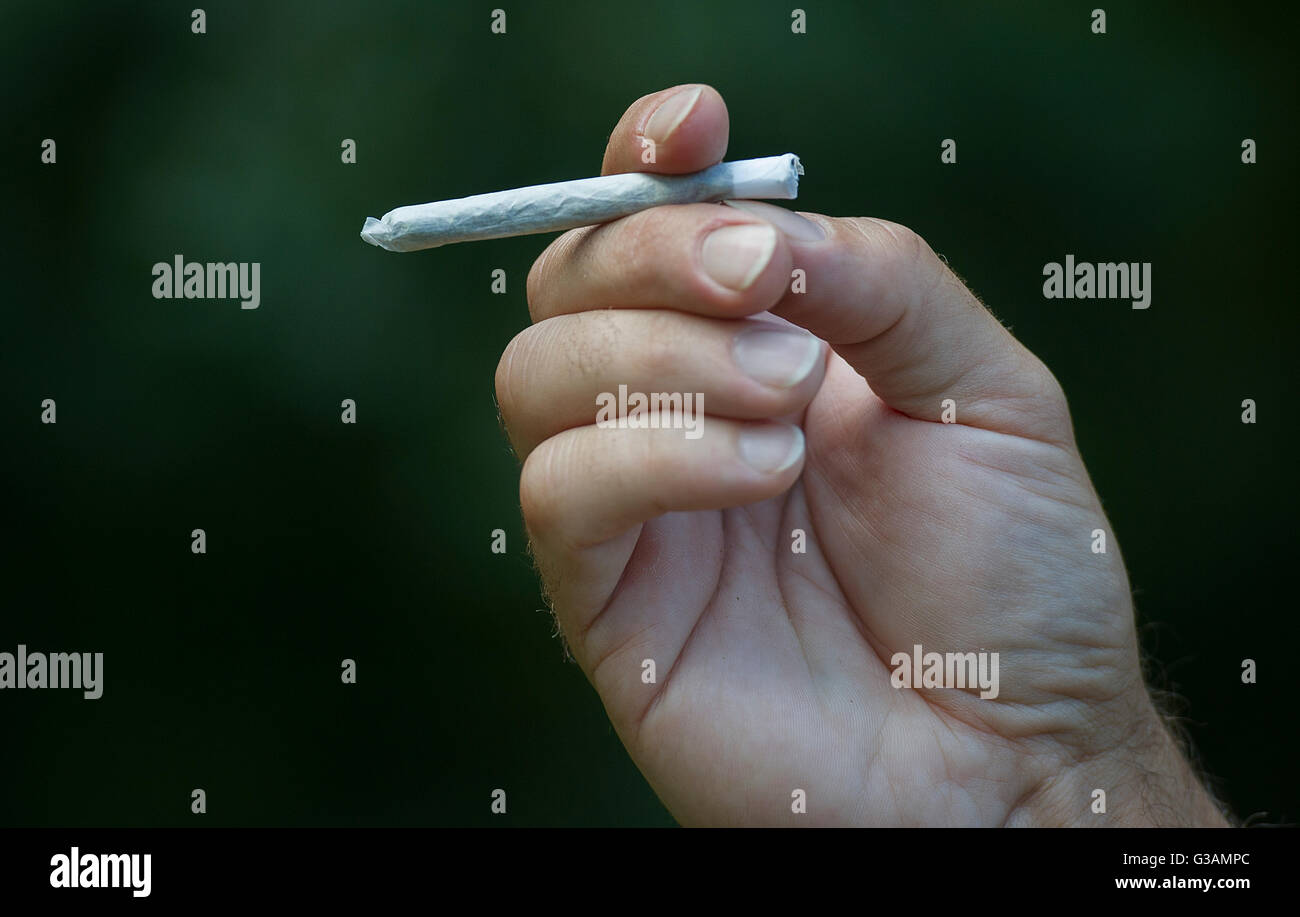 Un homme est titulaire d'un joint de cannabis à Montréal, août 2014. photo Graham Hughes/Freelance Banque D'Images
