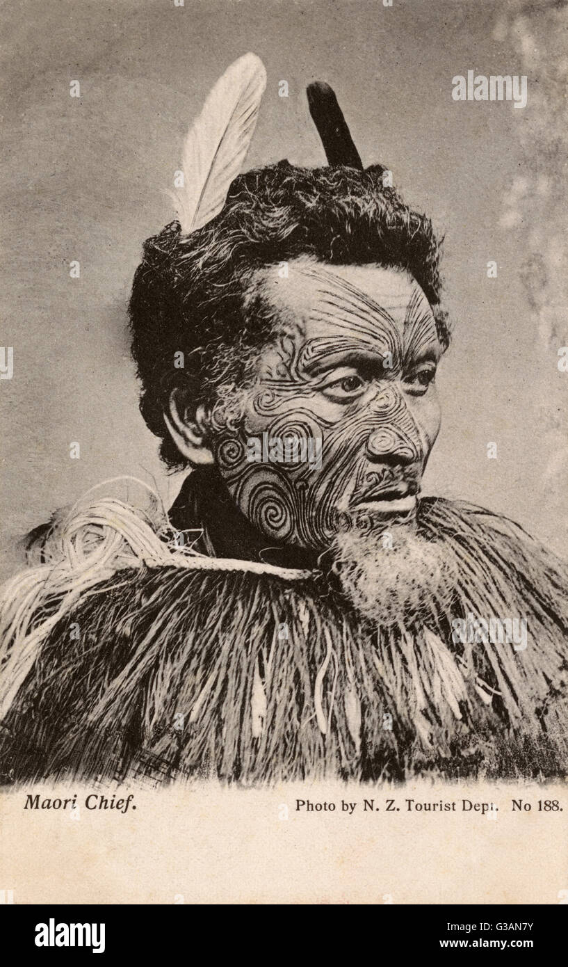 Maori Chieftain, Nouvelle-Zélande Banque D'Images
