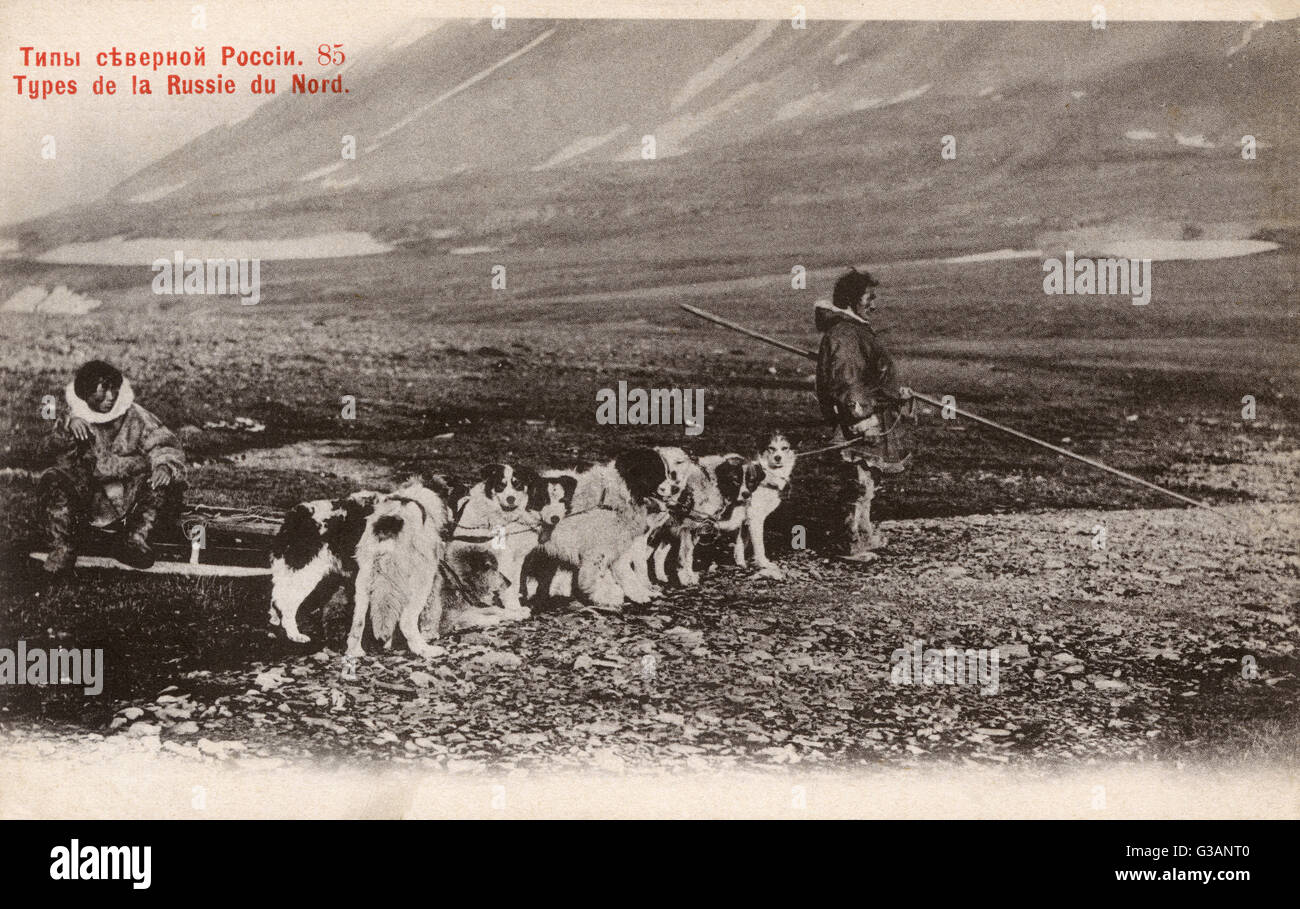 Russie du Nord - Sibérie - équipe de traîneau à chiens Banque D'Images