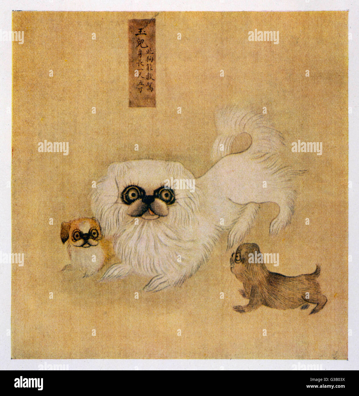 Un mignon petit canard blanc et les chiots comme décrit dans un livre de chien impérial Banque D'Images