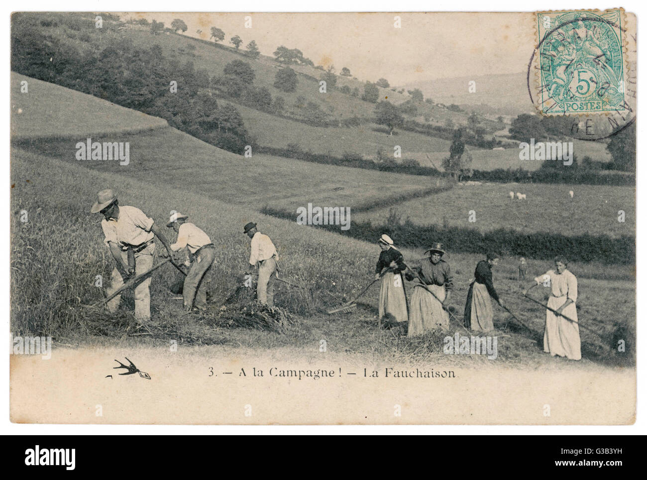 FAUCHAGE DU FOIN, 1907 Banque D'Images