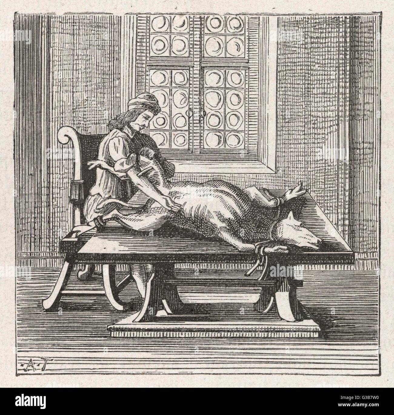 Transfusion de sang, à partir d'un animal à un homme Date : 1679 Banque D'Images