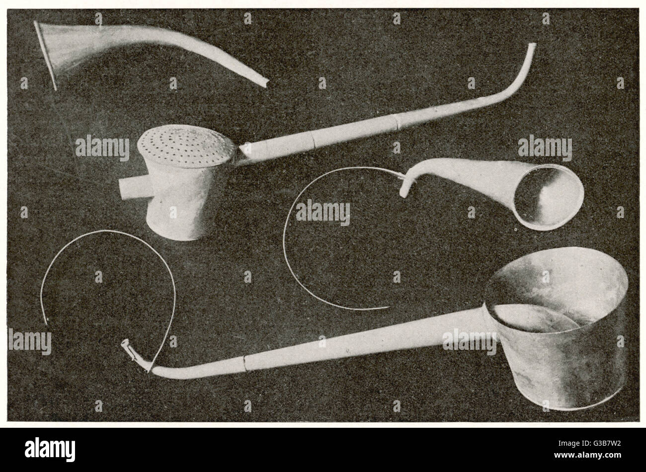 Oreille trompette Banque de photographies et d’images à haute