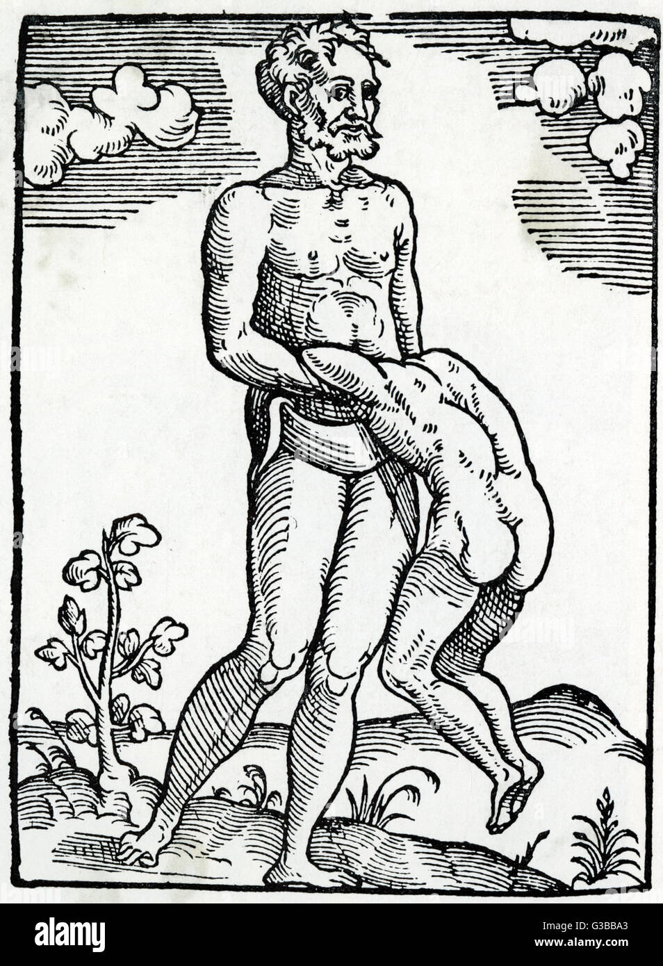 NAISSANCE LIBRE/TWIN/1560 Banque D'Images