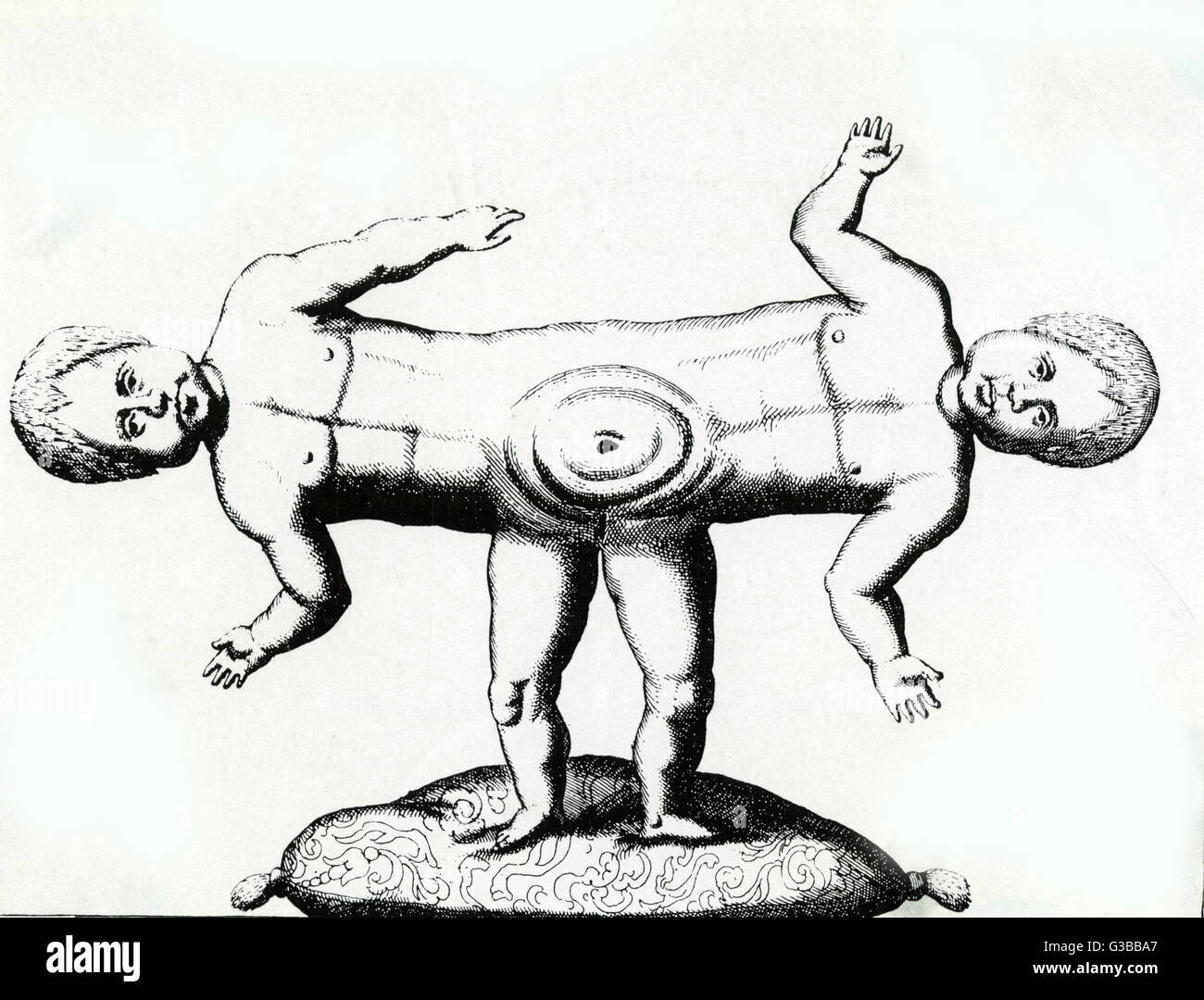 SIAMOIS JUMEAUX/C18TH Banque D'Images