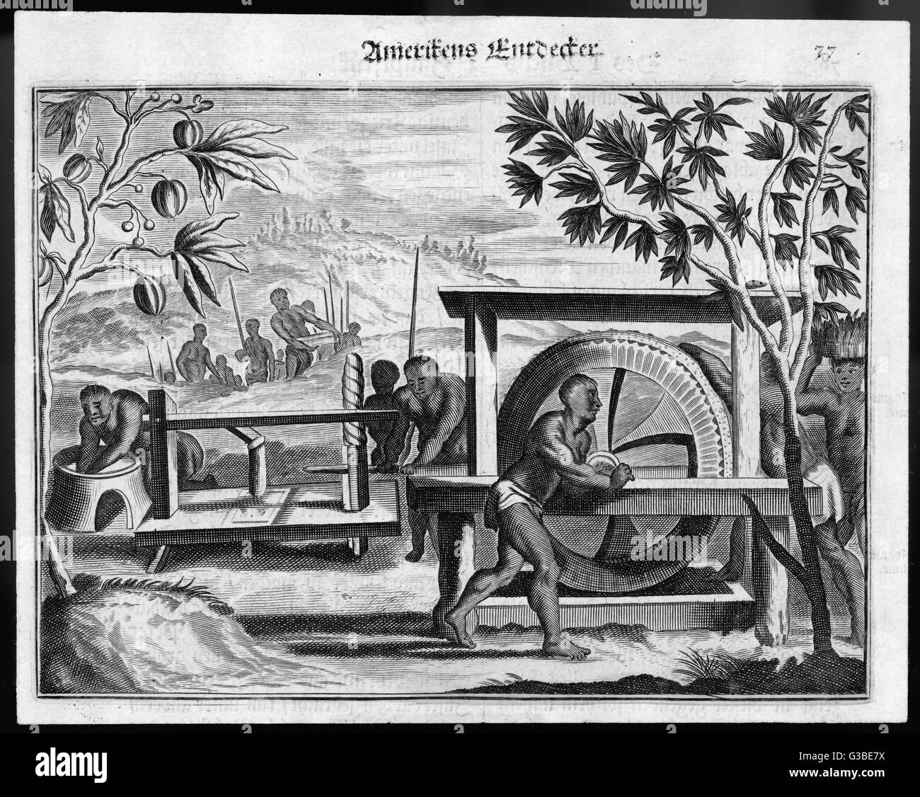 Autochtones de la West Indies (ou peut-être au Brésil) traiter les fèves de cacao pour la fabrication du chocolat. Date : vers 1600 Banque D'Images