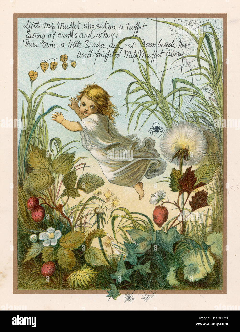 MUFFET DE LITTLE MISS (EVB) Banque D'Images