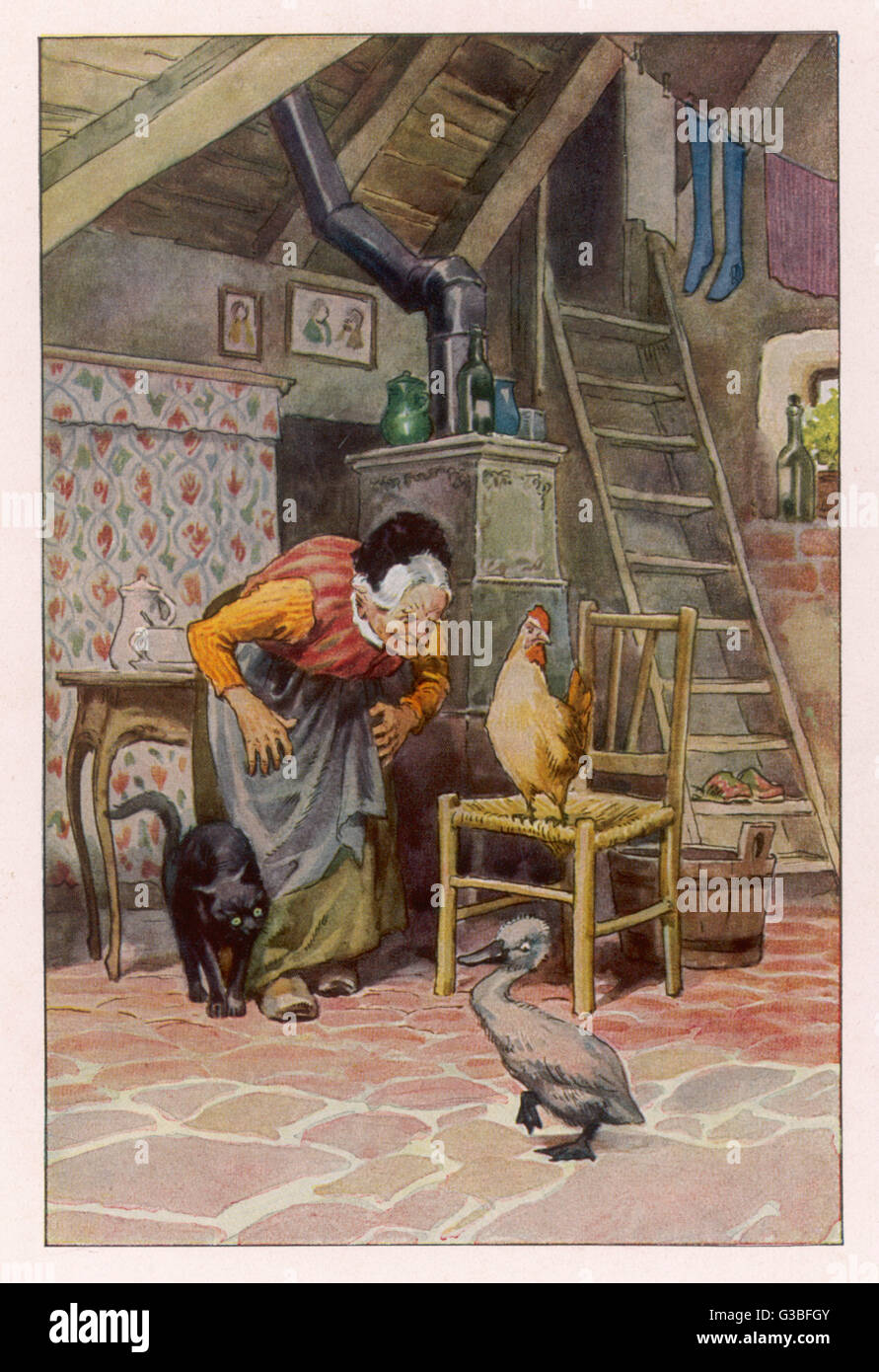 Le vilain petit canard à la maison avec la vieille femme et ses autres bêtes. Banque D'Images