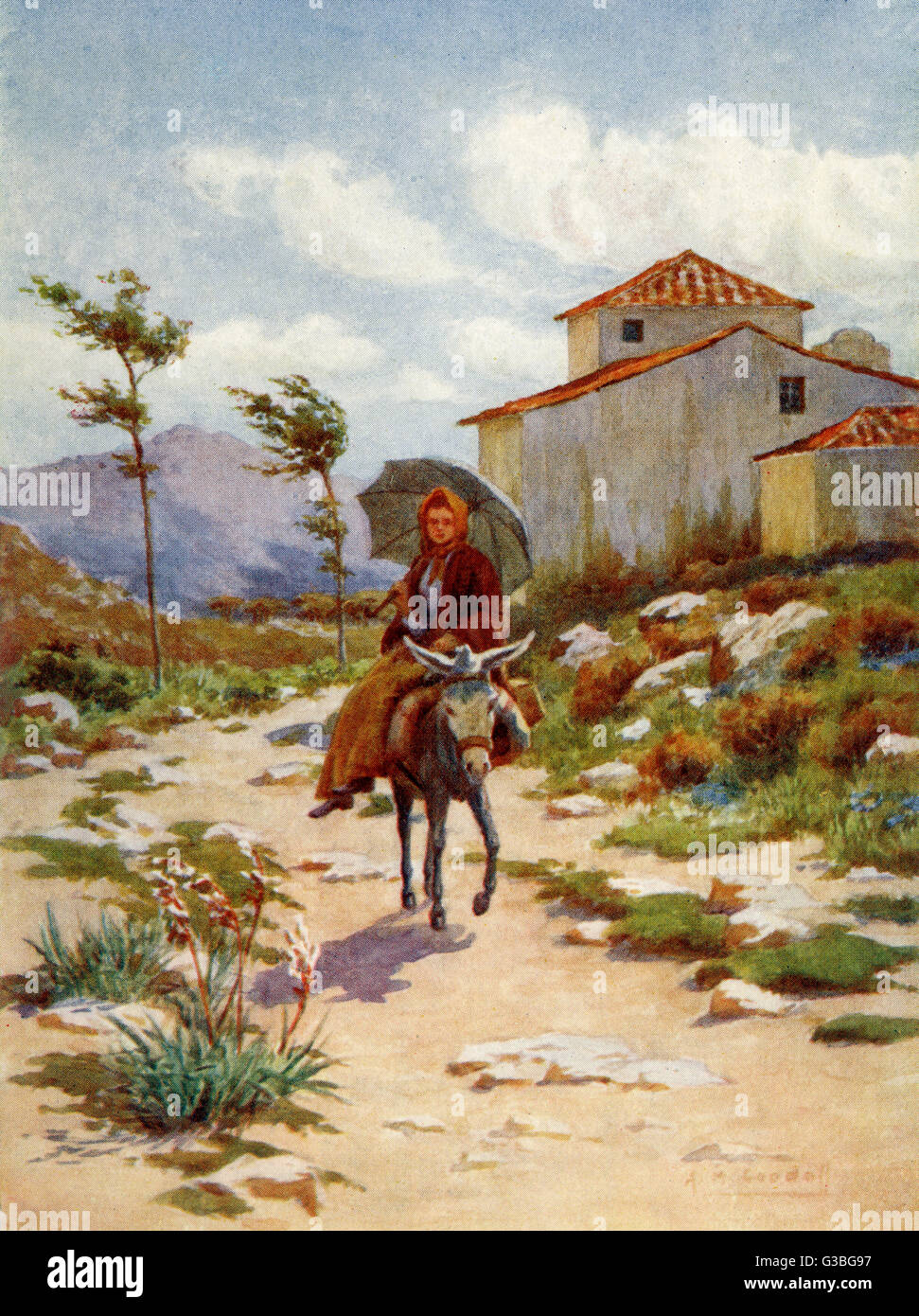 ÂNE/PAYSANNE Banque D'Images