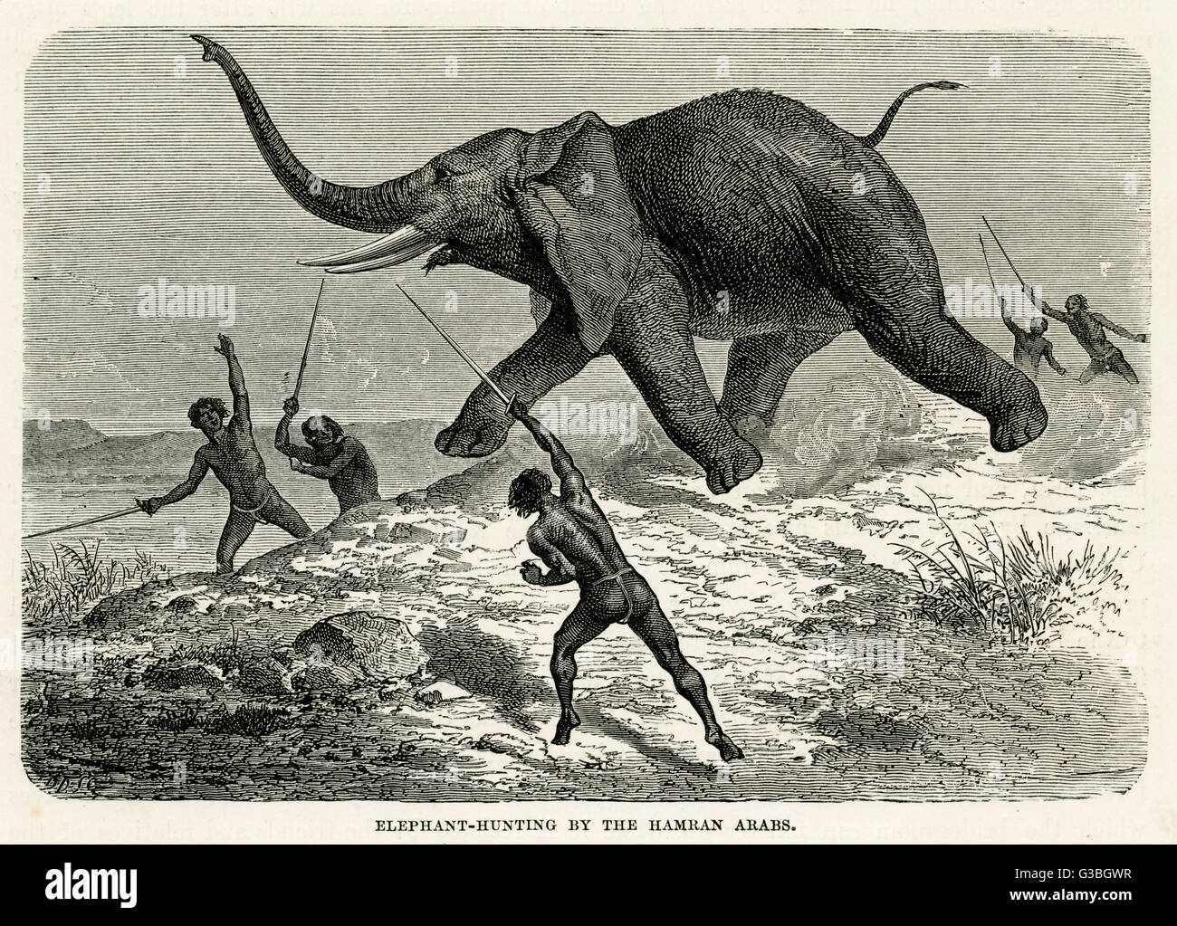 Chasse à l'éléphant - Afrique Banque D'Images