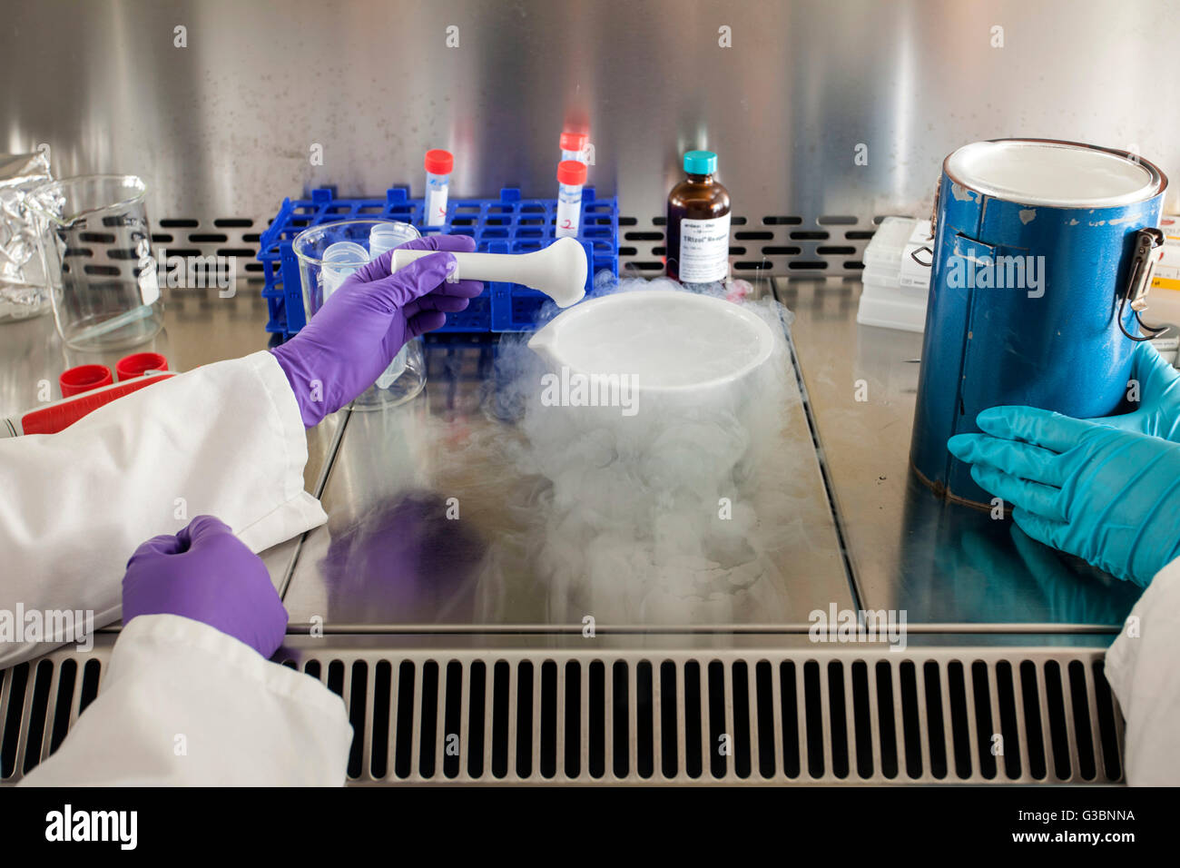 L'isolement de l'ARN dans un laboratoire de génétique. Banque D'Images