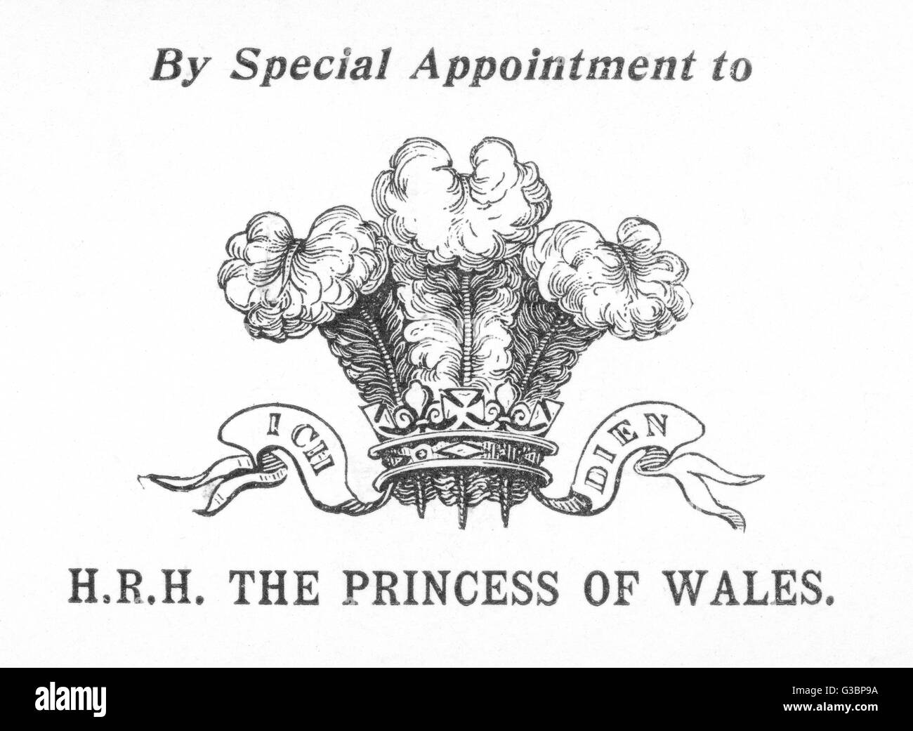 BRAS DE PSS DU PAYS DE GALLES Banque D'Images