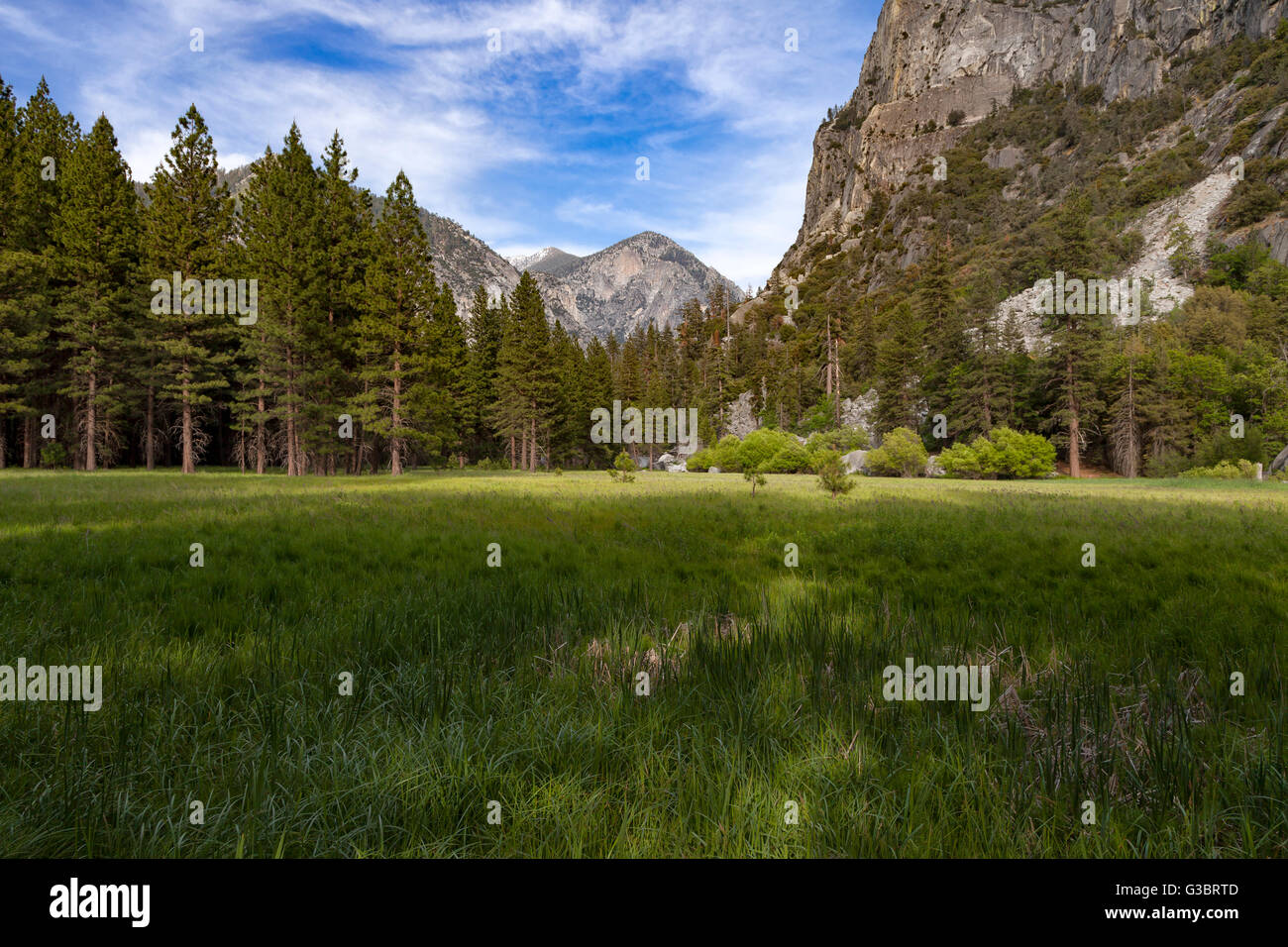 Meaodow Zumwalt et Mont Gardiner dans le Parc National Kings Canyon Banque D'Images