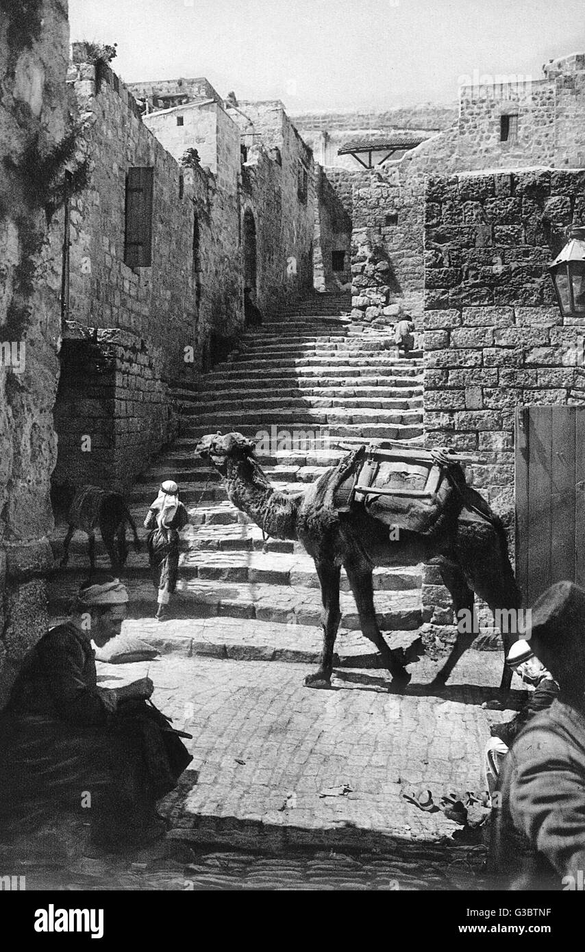 Rue avec chameau et marches, Jérusalem Banque D'Images