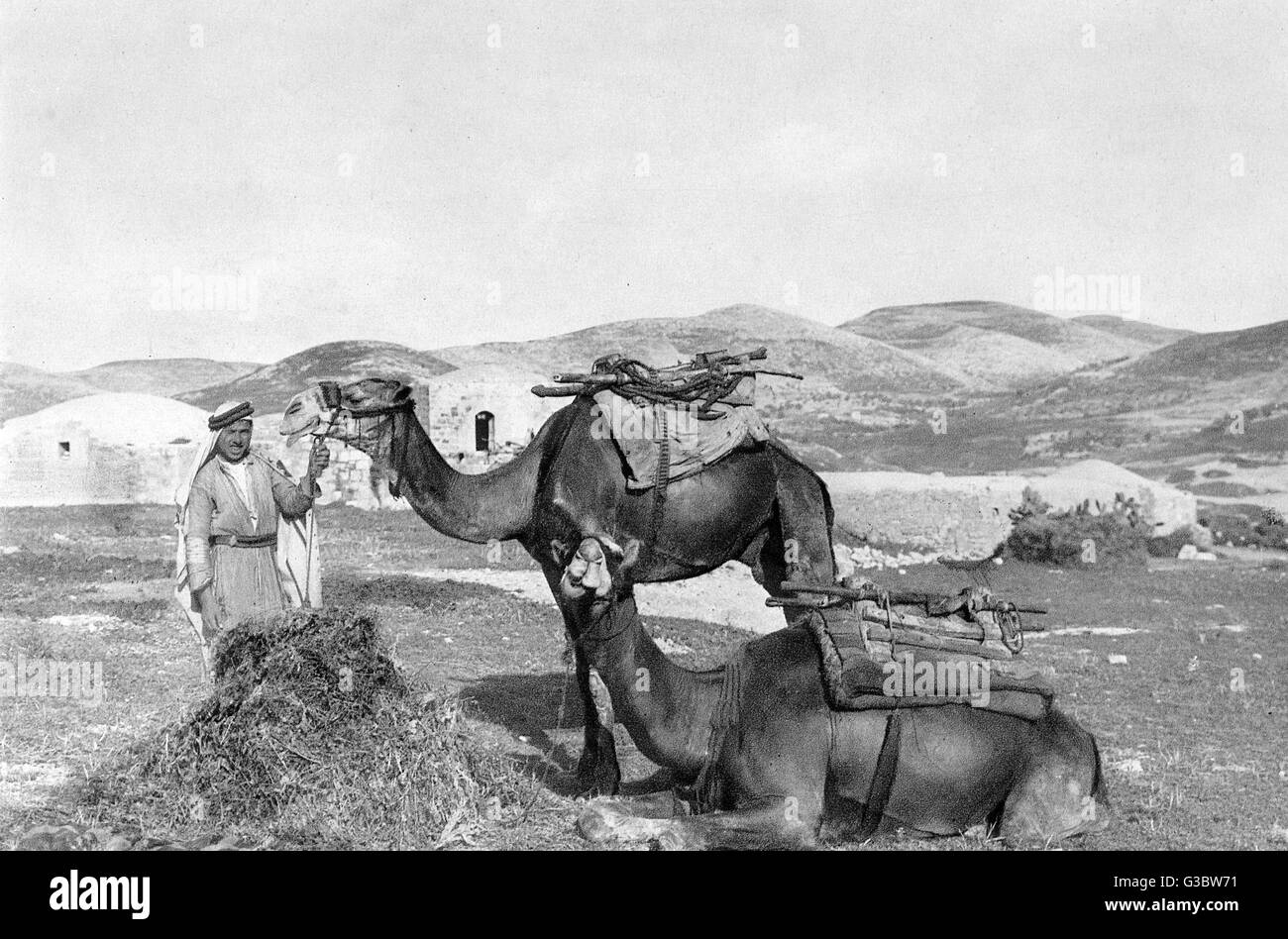 Homme avec deux chameaux, Terre Sainte Banque D'Images