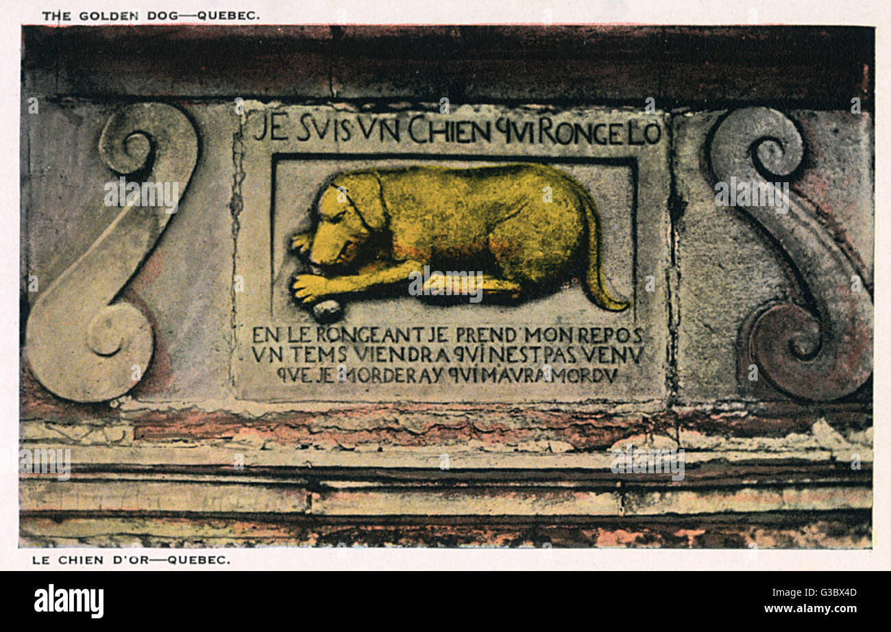 Mordu par un chien Banque de photographies et d’images à haute ...