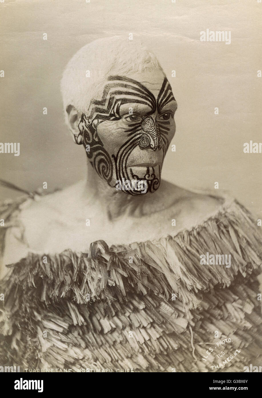 Chef maori au visage tatoué, Nouvelle-Zélande Banque D'Images