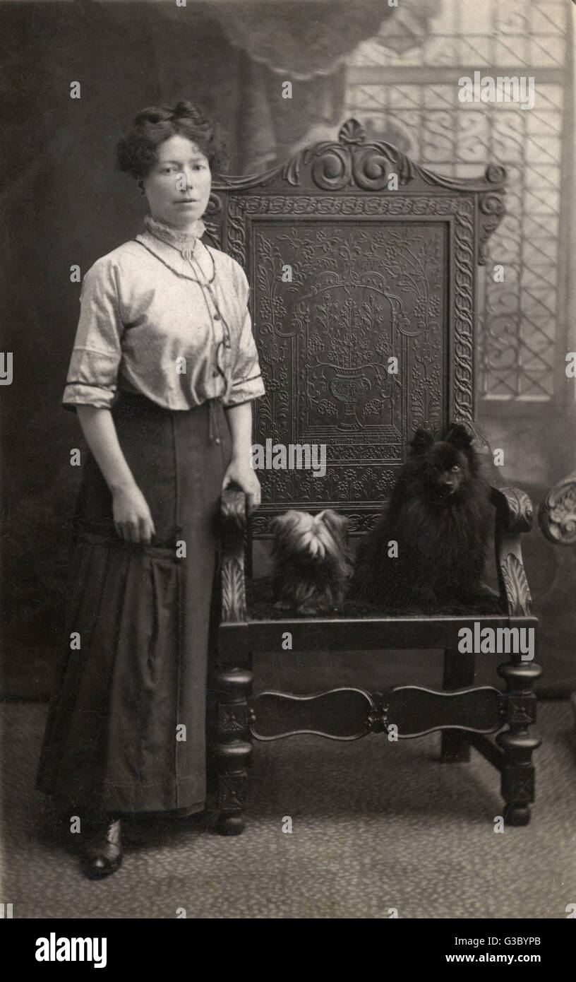 Femme avec deux chiens poilus Banque D'Images