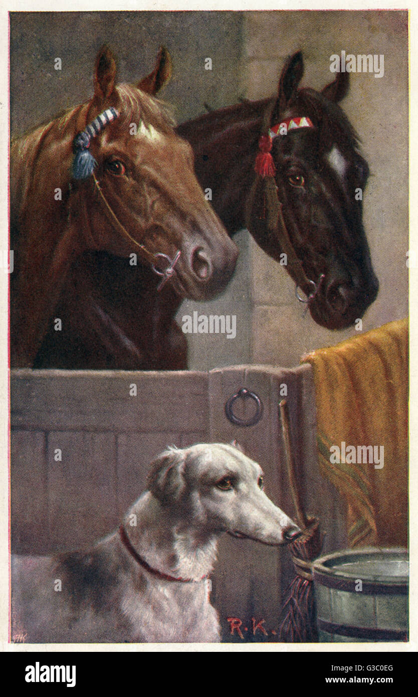 Paire de chevaux dans un stable et un guetteur Banque D'Images