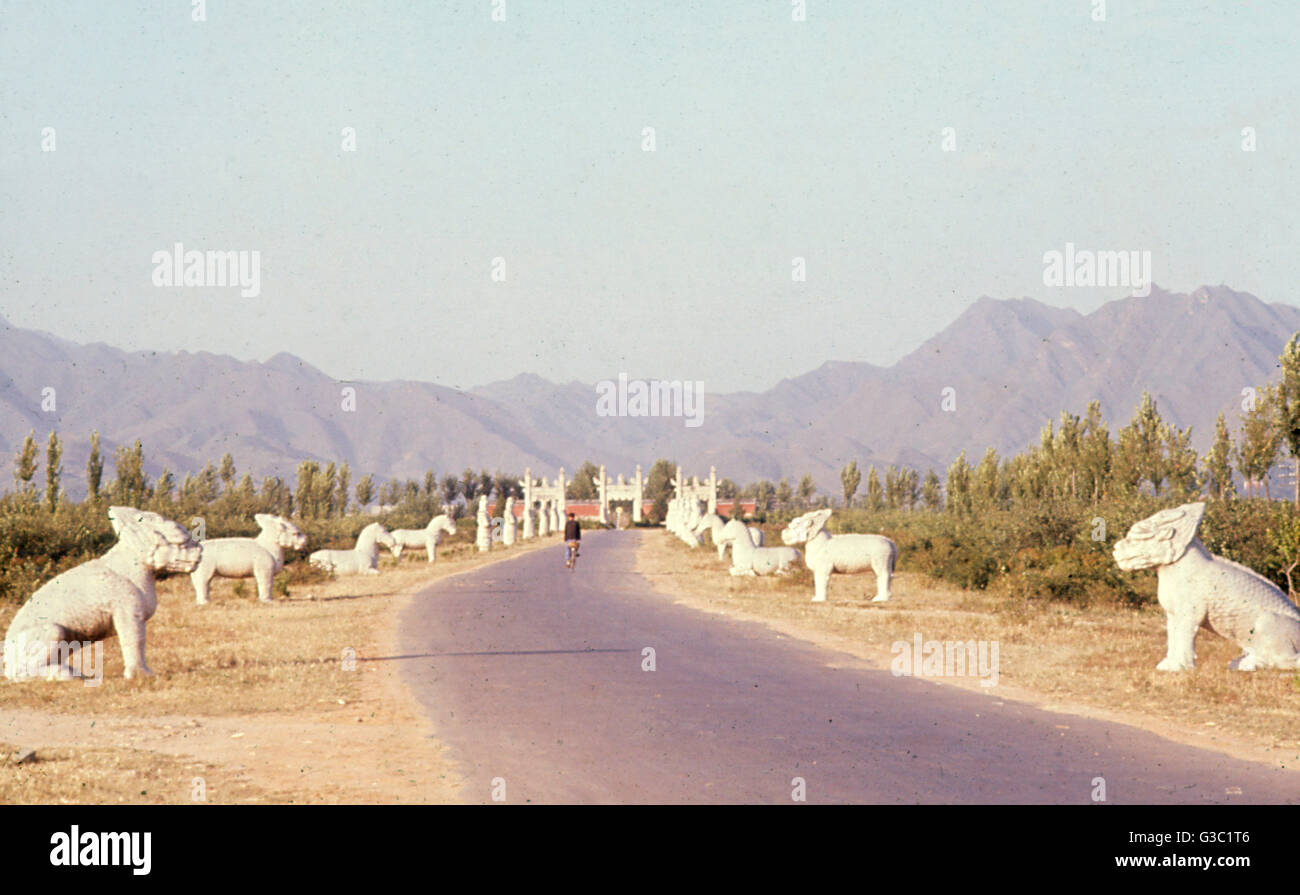 Avenue menant aux tombeaux des Ming près de Pékin, Chine Banque D'Images