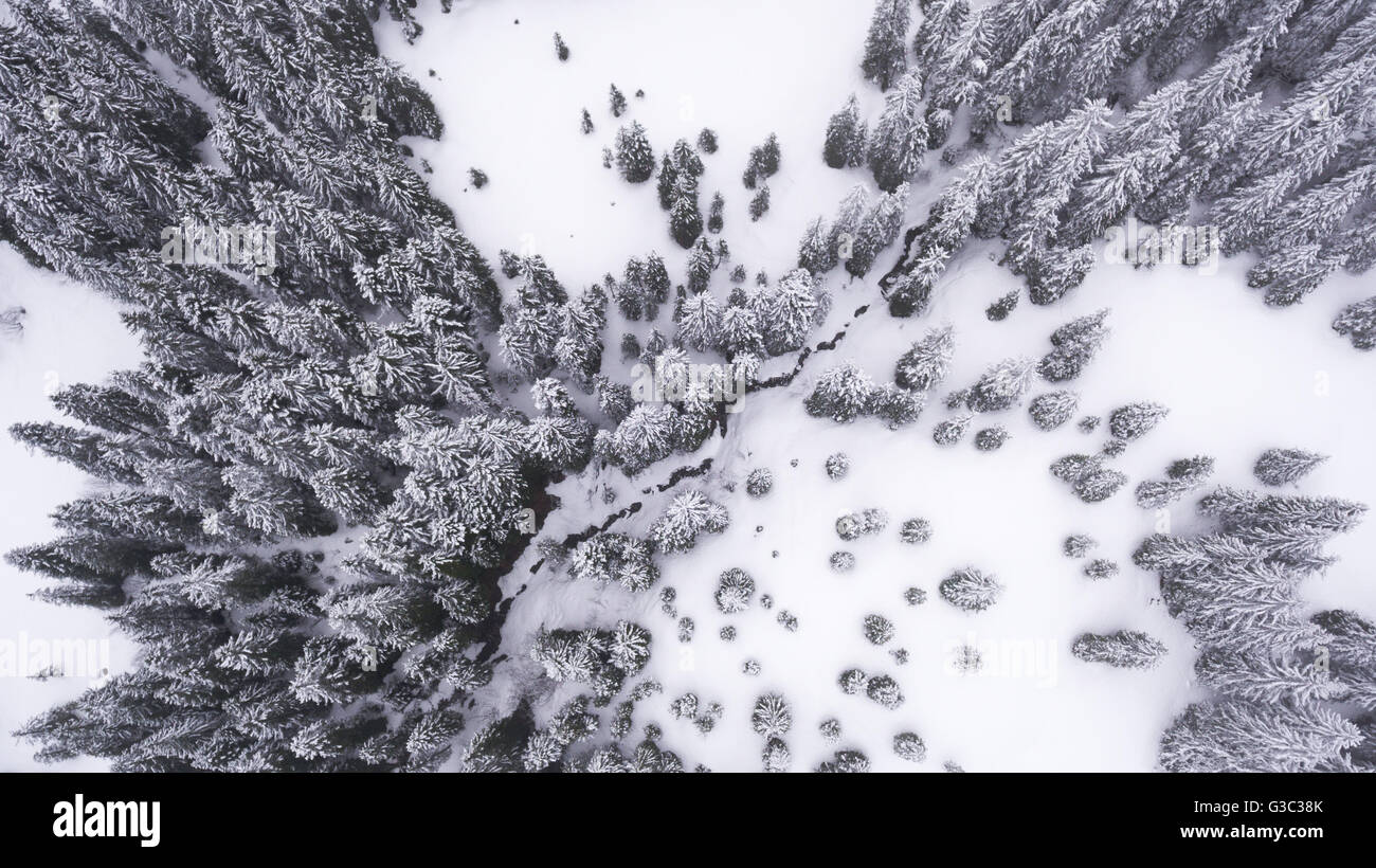 Vue aérienne de paysage de neige sur le Col de Ibergeregg. Une petite rivière divise l'arbre dans les sections nord-ouest et sud-est. Banque D'Images