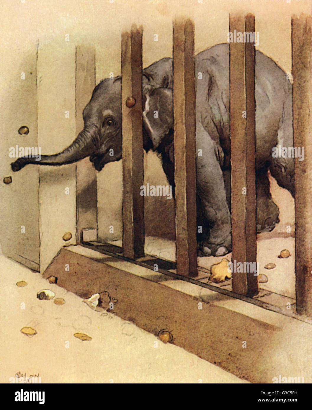 Illustration par Cecil Aldin, l'éléphant Banque D'Images