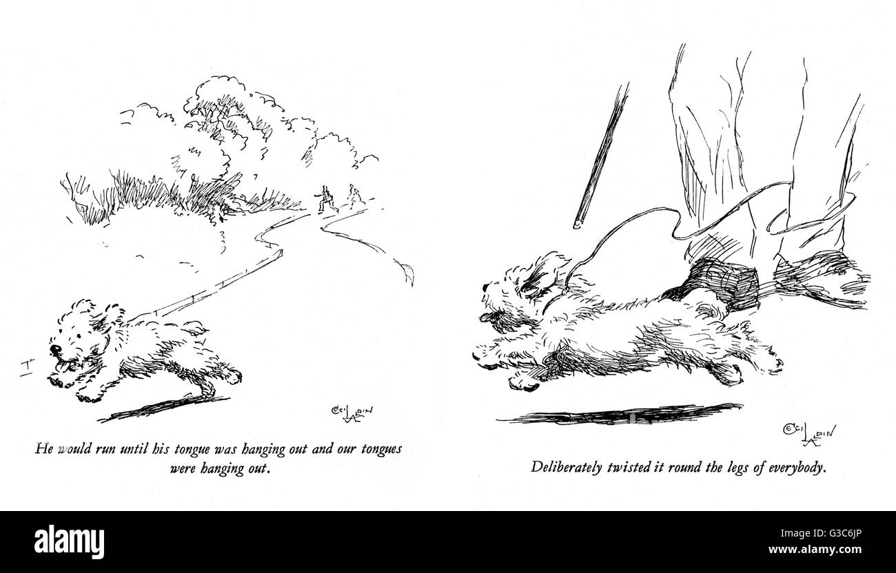 Illustrations d'un chiot de terrier de Sealyham par Cecil Aldin Banque D'Images Illustrations d'un chiot de terrier de Sealyham par Cecil Aldin Banque D'Images